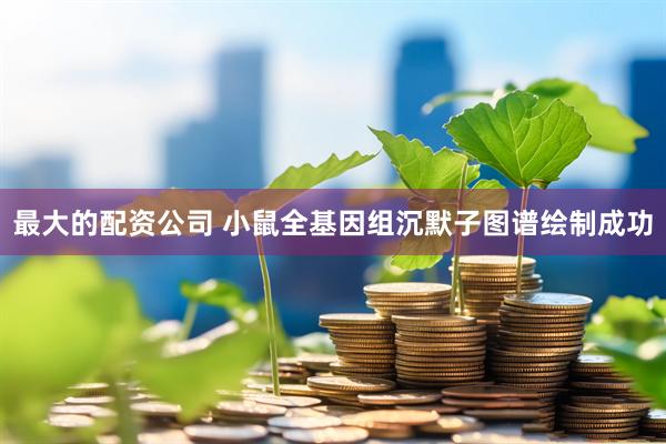最大的配资公司 小鼠全基因组沉默子图谱绘制成功