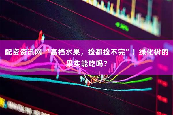 配资资讯网 “高档水果,捡都捡不完”!绿化树的果实能吃吗?
